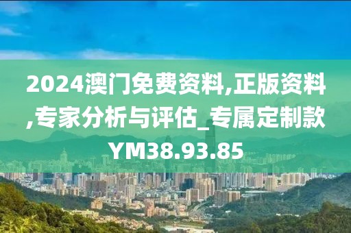 2024澳门免费资料,正版资料,专家分析与评估_专属定制款YM38.93.85