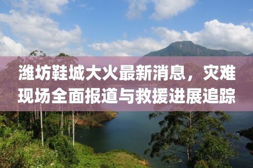 潍坊鞋城大火最新消息，灾难现场全面报道与救援进展追踪