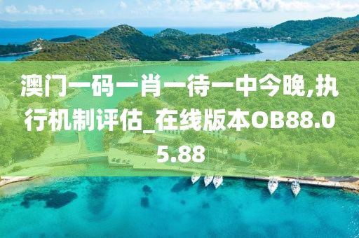 澳门一码一肖一待一中今晚,执行机制评估_在线版本OB88.05.88