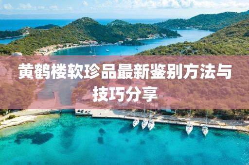 黄鹤楼软珍品最新鉴别方法与技巧分享