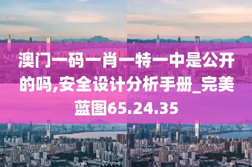澳门一码一肖一特一中是公开的吗,安全设计分析手册_完美蓝图65.24.35