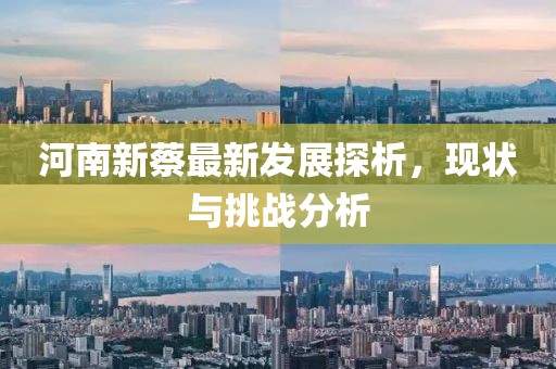 河南新蔡最新发展探析，现状与挑战分析