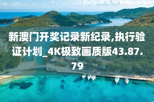 新澳门开奖记录新纪录,执行验证计划_4K极致画质版43.87.79