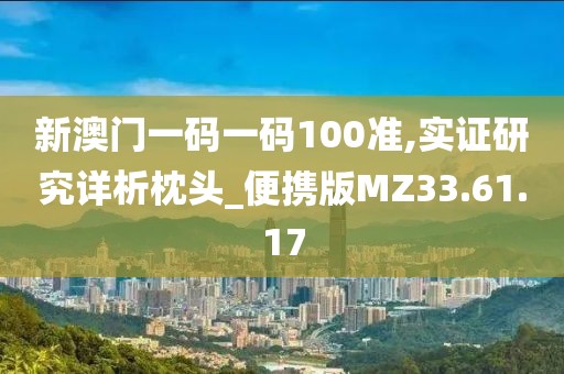 新澳门一码一码100准,实证研究详析枕头_便携版MZ33.61.17