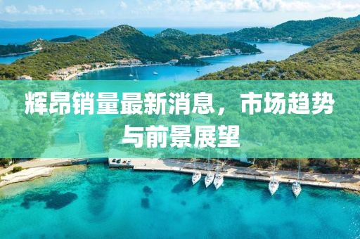 辉昂销量最新消息，市场趋势与前景展望