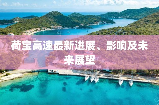 荷宝高速最新进展、影响及未来展望