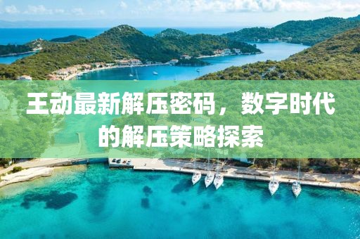 王动最新解压密码，数字时代的解压策略探索