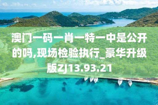 澳门一码一肖一特一中是公开的吗,现场检验执行_豪华升级版ZJ13.93.21