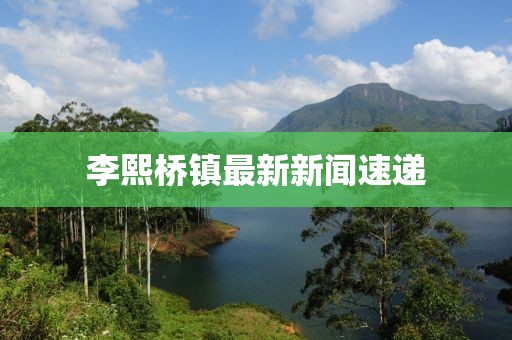 李熙桥镇最新新闻速递