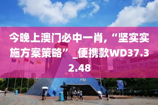 今晚上澳门必中一肖,“坚实实施方案策略”_便携款WD37.32.48