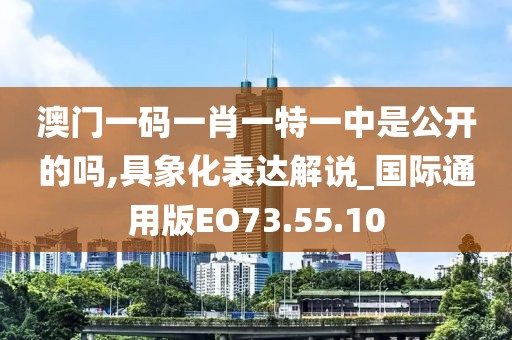 澳门一码一肖一特一中是公开的吗,具象化表达解说_国际通用版EO73.55.10