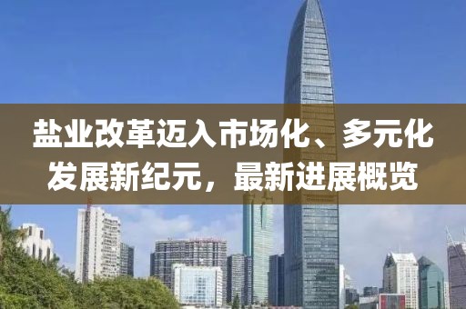 盐业改革迈入市场化、多元化发展新纪元，最新进展概览