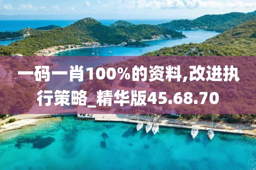 一码一肖100%的资料,改进执行策略_精华版45.68.70
