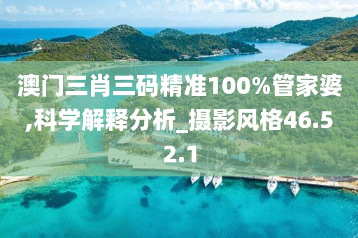 澳门三肖三码精准100%管家婆,科学解释分析_摄影风格46.52.1