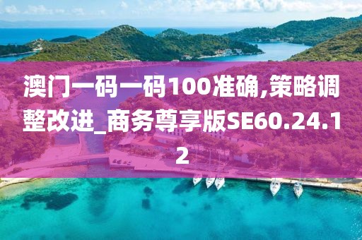 澳门一码一码100准确,策略调整改进_商务尊享版SE60.24.12