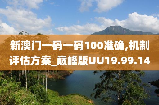 新澳门一码一码100准确,机制评估方案_巅峰版UU19.99.14