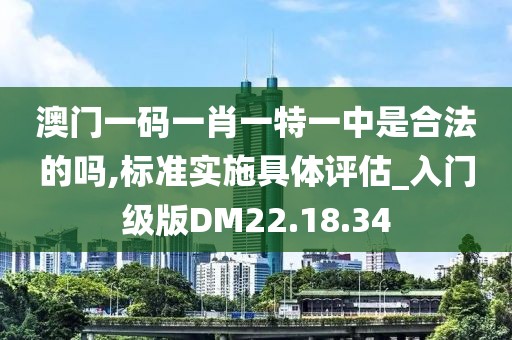 澳门一码一肖一特一中是合法的吗,标准实施具体评估_入门级版DM22.18.34