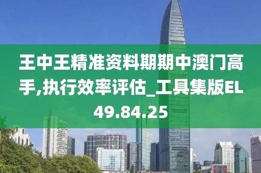 王中王精准资料期期中澳门高手,执行效率评估_工具集版EL49.84.25