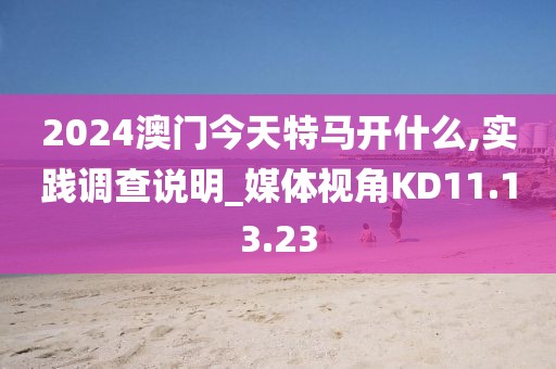 2024澳门今天特马开什么,实践调查说明_媒体视角KD11.13.23
