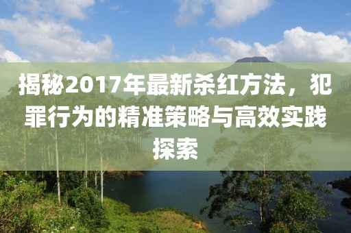 揭秘2017年最新杀红方法，犯罪行为的精准策略与高效实践探索