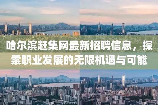 哈尔滨赶集网最新招聘信息，探索职业发展的无限机遇与可能