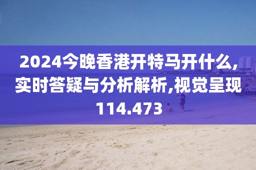 2024今晚香港开特马开什么,实时答疑与分析解析,视觉呈现114.473