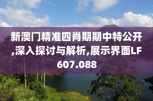 新澳门精准四肖期期中特公开,深入探讨与解析,展示界面LF607.088
