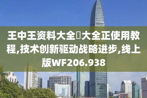 王中王资料大全枓大全正使用教程,技术创新驱动战略进步,线上版WF206.938