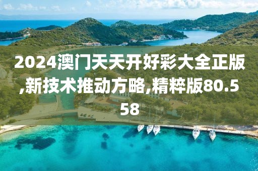 2024澳门天天开好彩大全正版,新技术推动方略,精粹版80.558