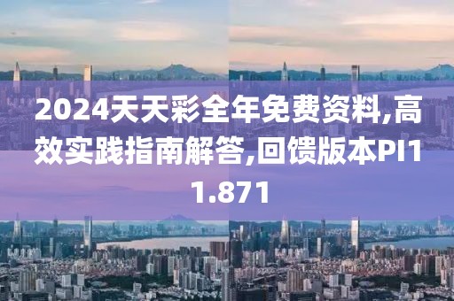 2024天天彩全年免费资料,高效实践指南解答,回馈版本PI11.871