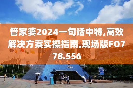 管家婆2024一句话中特,高效解决方案实操指南,现场版FO778.556
