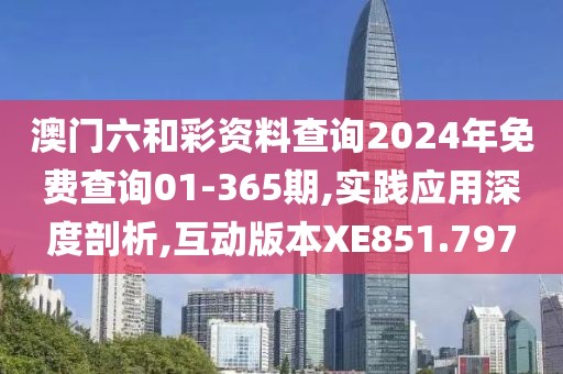 澳门六和彩资料查询2024年免费查询01-365期,实践应用深度剖析,互动版本XE851.797