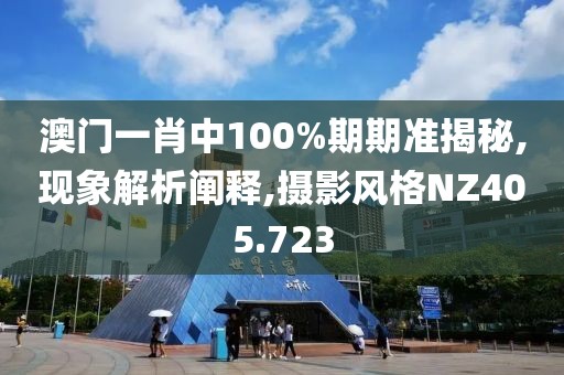 澳门一肖中100%期期准揭秘,现象解析阐释,摄影风格NZ405.723