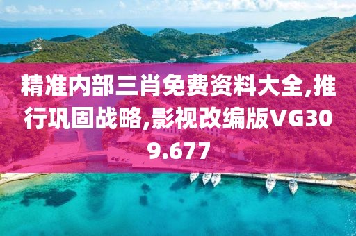 精准内部三肖免费资料大全,推行巩固战略,影视改编版VG309.677