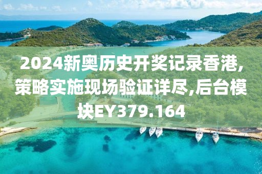2024新奥历史开奖记录香港,策略实施现场验证详尽,后台模块EY379.164