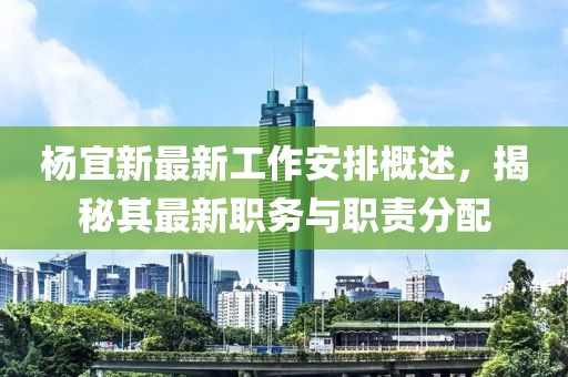 杨宜新最新工作安排概述，揭秘其最新职务与职责分配