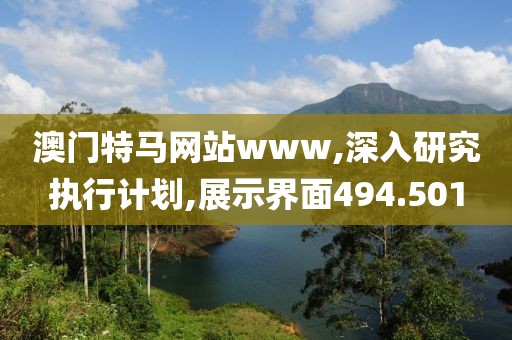 澳门特马网站www,深入研究执行计划,展示界面494.501