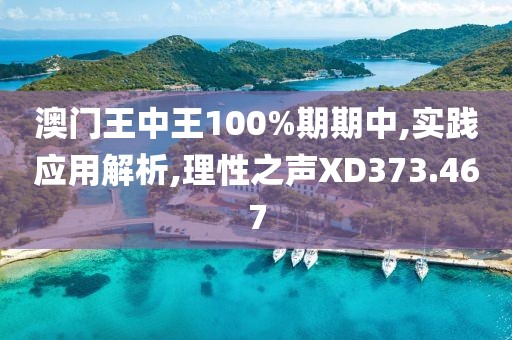 澳门王中王100%期期中,实践应用解析,理性之声XD373.467