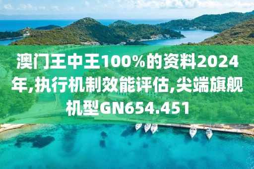 澳门王中王100%的资料2024年,执行机制效能评估,尖端旗舰机型GN654.451