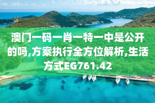 澳门一码一肖一特一中是公开的吗,方案执行全方位解析,生活方式EG761.42