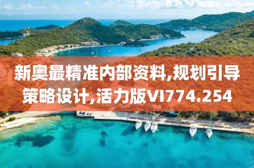 新奥最精准内部资料,规划引导策略设计,活力版VI774.254