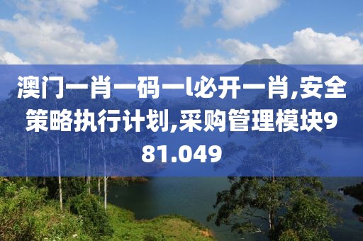 澳门一肖一码一l必开一肖,安全策略执行计划,采购管理模块981.049