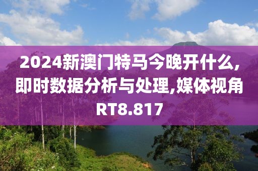 2024新澳门特马今晚开什么,即时数据分析与处理,媒体视角RT8.817