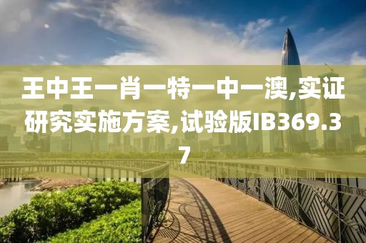 王中王一肖一特一中一澳,实证研究实施方案,试验版IB369.37