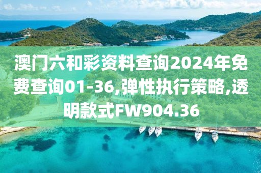 澳门六和彩资料查询2024年免费查询01-36,弹性执行策略,透明款式FW904.36