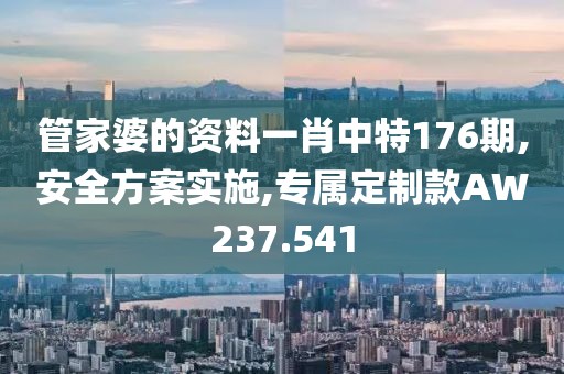 管家婆的资料一肖中特176期,安全方案实施,专属定制款AW237.541
