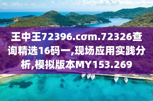 王中王72396.cσm.72326查询精选16码一,现场应用实践分析,模拟版本MY153.269