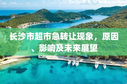 长沙市超市急转让现象，原因、影响及未来展望