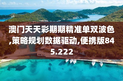 澳门天天彩期期精准单双波色,策略规划数据驱动,便携版845.222
