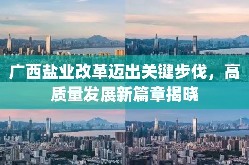 广西盐业改革迈出关键步伐，高质量发展新篇章揭晓